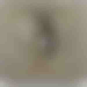 De padres a hija | NAMI