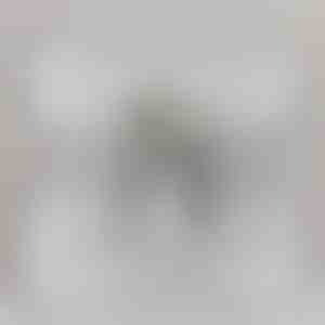 De novio a novia | SHILOH