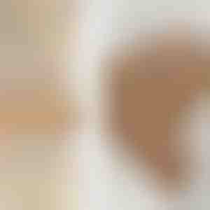 Conjunto de anillos | SPARKLET