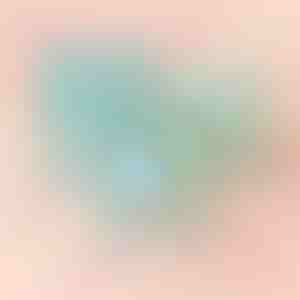 Caja azul con rosa | BLUEBOX