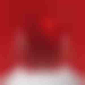 Joyero giratorio de oso | ROSBEAR