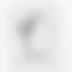 Anillo de compromiso | HEARTISO