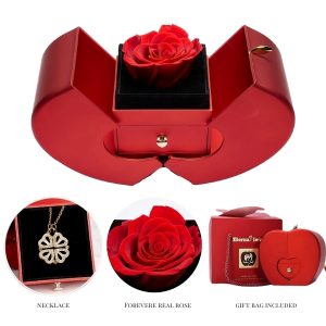 Collar de tréboles 2 en 1 y caja de regalo | CLOVERIE_APPLEROSE